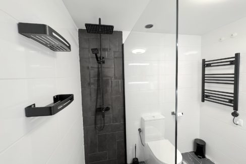 Master Bathroom Shower