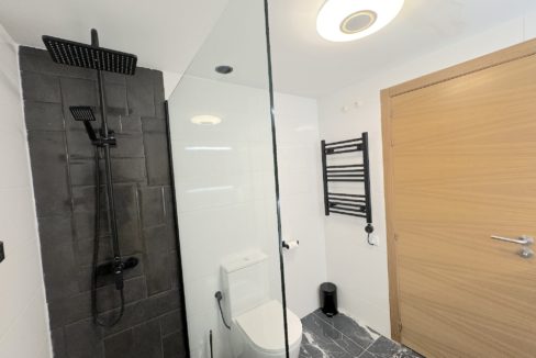 Master Bathroom Showera